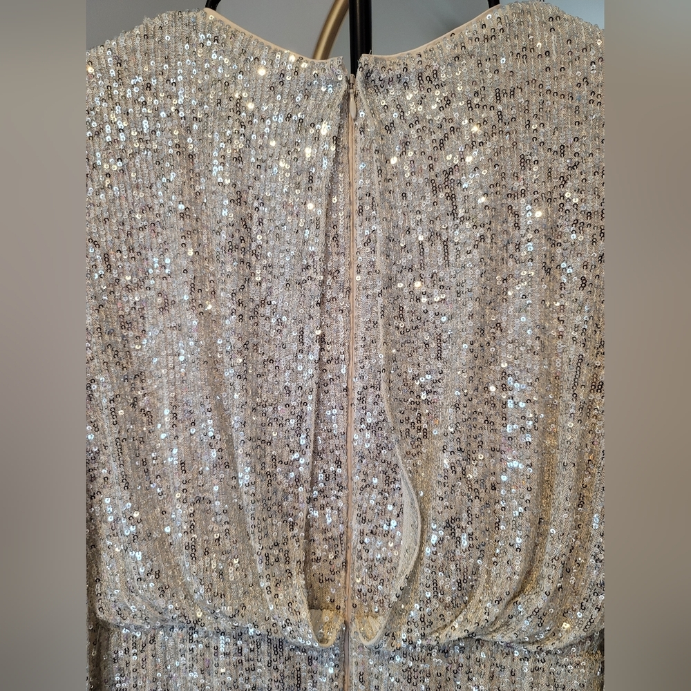 NWT Eliza J Sequin Long Sleeve Cocktail Dress Silver Blouson Size 6 - Picture 7 of 14